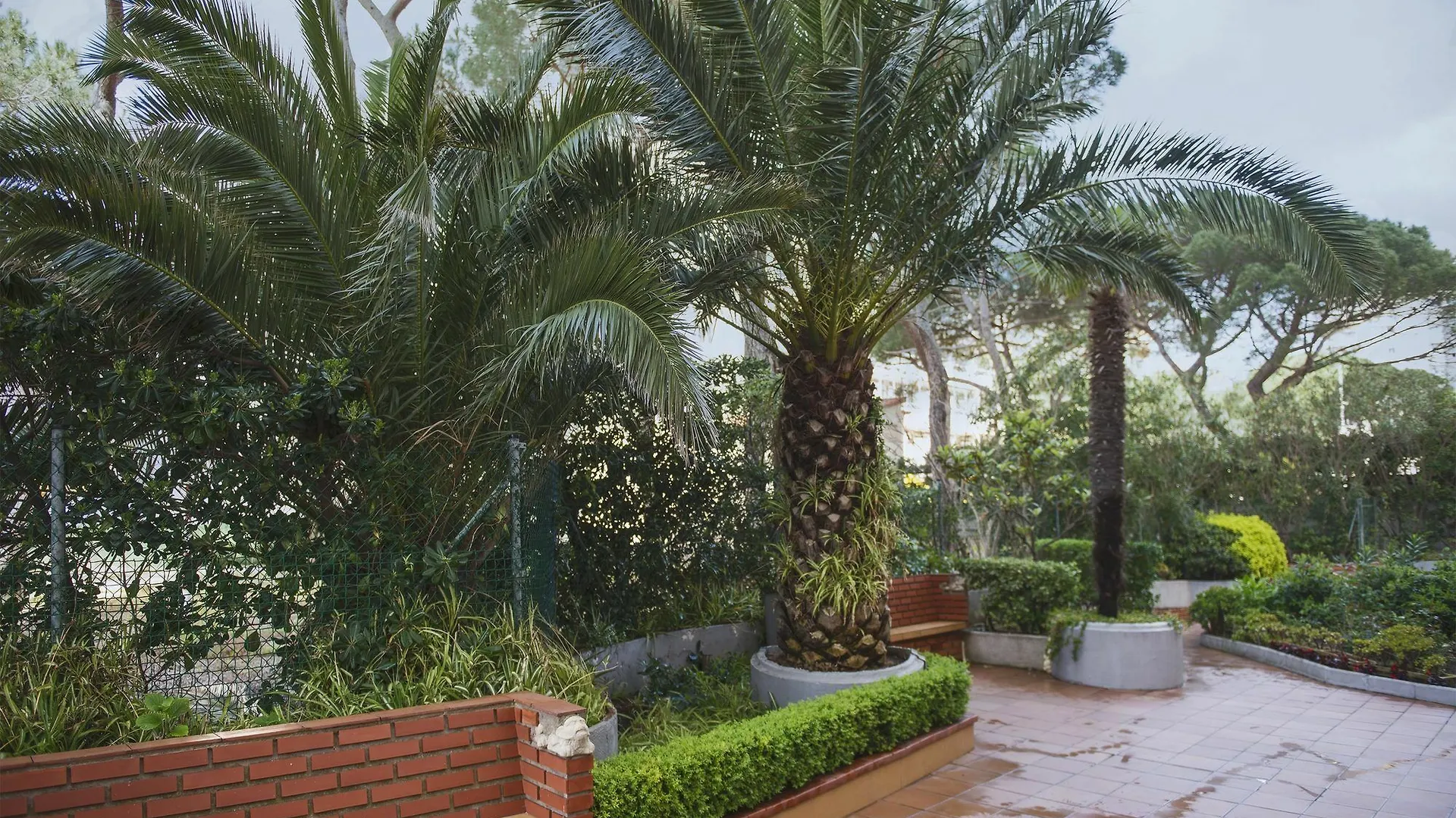 Apartamento Apartmentsplatjadaro Platja d'Aro